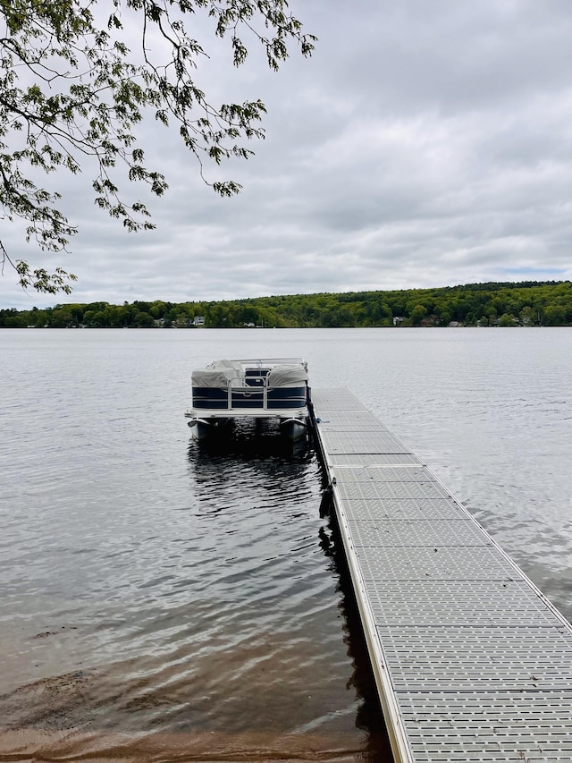 75 W Shore Rd, Ellington, CT 06029 - dock area featuring a water view