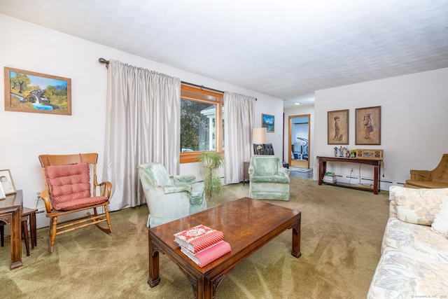 living area with light carpet and a baseboard radiator
