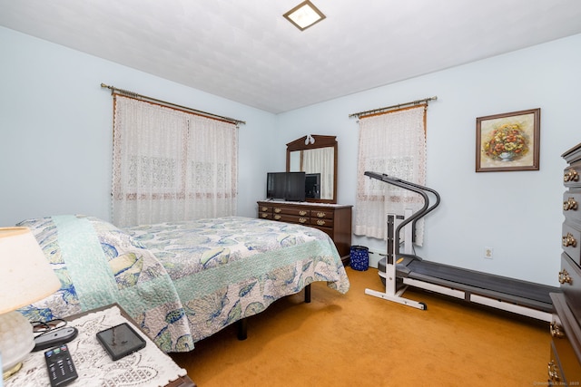 bedroom with carpet floors