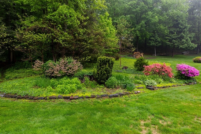 view of grassy yard with a wooded view