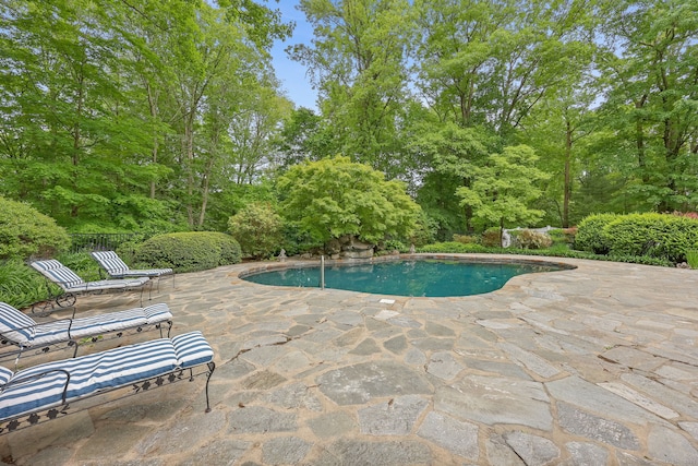 33 Carrington Dr, Stamford, CT 06831 - swimming pool featuring a patio