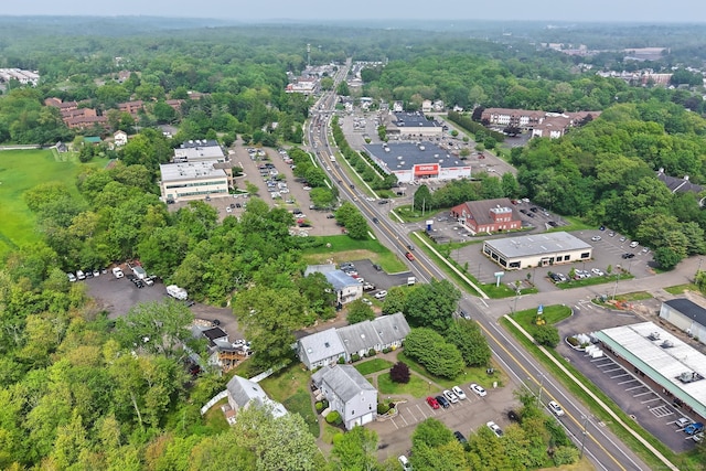 aerial view of a forest