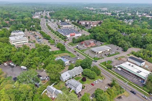 bird's eye view