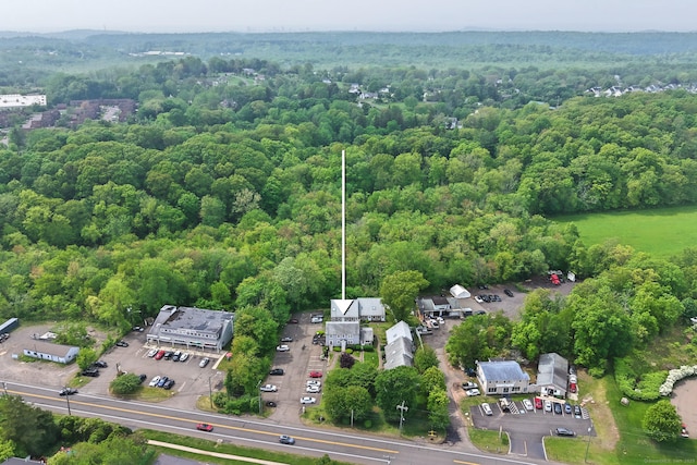 aerial view of a forest