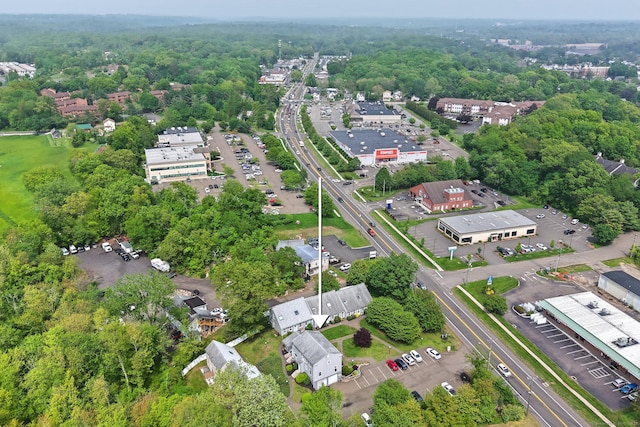 drone / aerial view of a forest