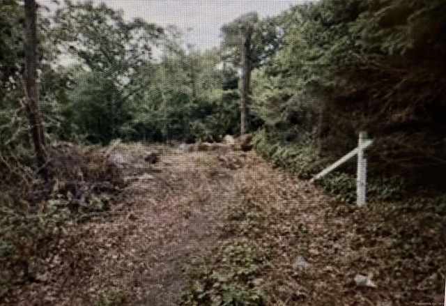 0 Ellen St, Waterbury, CT 06708 - photo 2