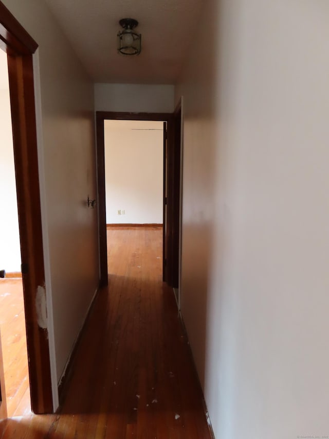 110 Bond St Unit 5B, Hartford, CT 06114 - corridor with hardwood / wood-style flooring and baseboards