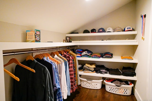 8 Bruce Ln, Avon, CT 06001 - walk in closet with vaulted ceiling and wood finished floors