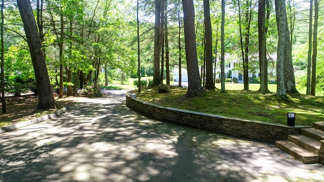 8 Bruce Ln, Avon, CT 06001 - view of community