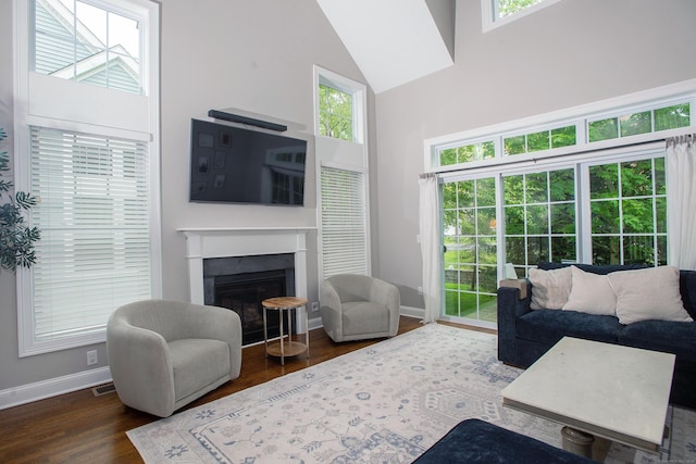 78 Copper Square Dr Unit 78, Bethel, CT 06801 - living area with baseboards, a towering ceiling, wood finished floors, and a fireplace