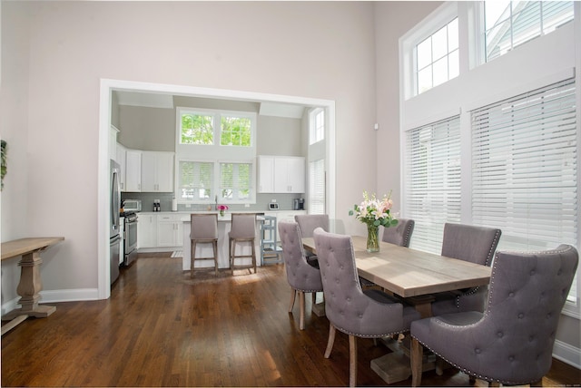 78 Copper Square Dr Unit 78, Bethel, CT 06801 - dining area featuring a high ceiling, dark wood-style floors, healthy amount of natural light, and baseboards