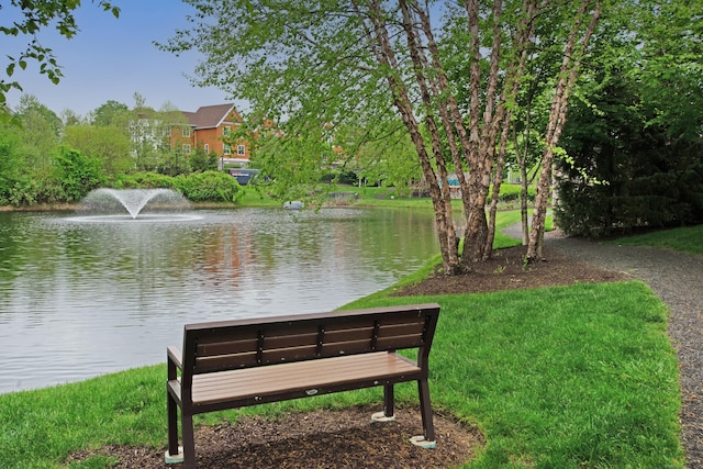 78 Copper Square Dr Unit 78, Bethel, CT 06801 - view of property's community with a water view