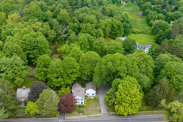80 W Main St, Chester, CT 06412 - bird's eye view of a heavily wooded area