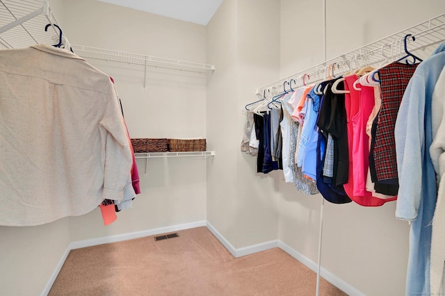 49 Bannan Ln Unit 49, Berlin, CT 06037 - walk in closet featuring carpet flooring