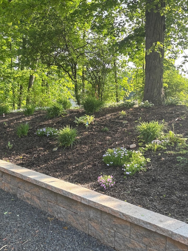 175 Berlin Ave Apt 36, Southington, CT 06489 - view of yard