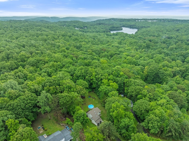 65 Putting Green Ln, Prospect, CT 06712 - photo 34