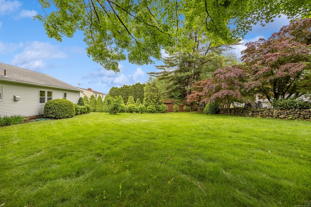 27 Hickory St, Plymouth, CT 06786 - view of green lawn