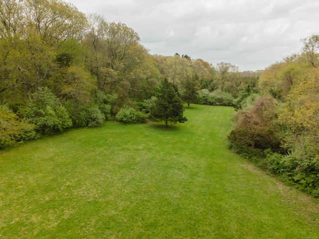 view of green lawn featuring a view of trees
