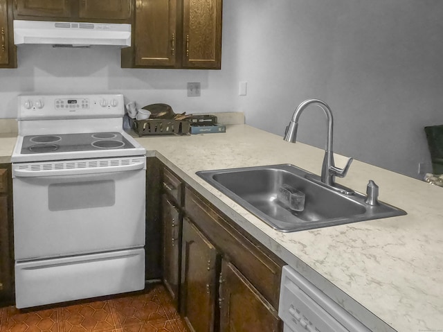 kitchen featuring white appliances, under cabinet range hood, a sink, light countertops, and dark brown cabinets