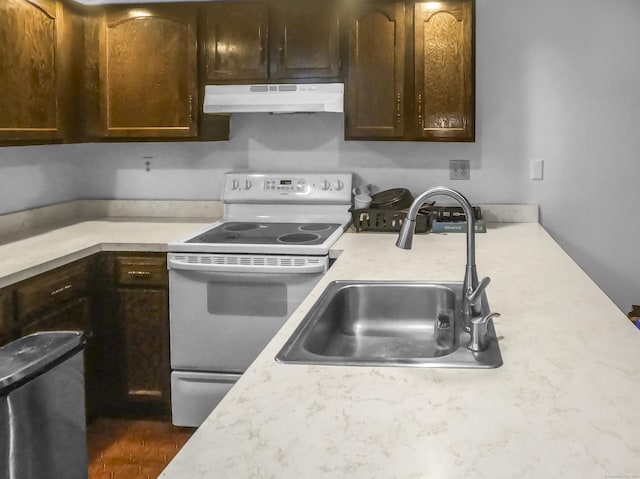 kitchen with under cabinet range hood, white electric stove, a sink, light countertops, and dark brown cabinets