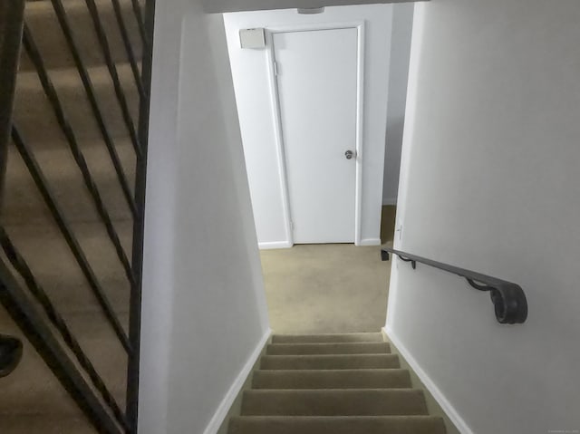 staircase with baseboards and carpet