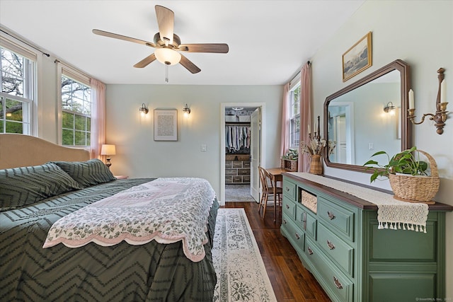 123 Kennerson Reservoir Rd, Ashford, CT 06278 - bedroom with multiple windows, a walk in closet, dark wood-style flooring, and ceiling fan