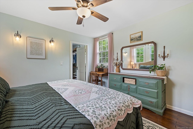 123 Kennerson Reservoir Rd, Ashford, CT 06278 - bedroom featuring dark wood-type flooring, baseboards, a ceiling fan, and a walk in closet