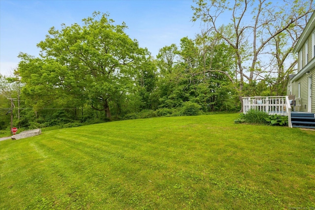 123 Kennerson Reservoir Rd, Ashford, CT 06278 - view of green lawn featuring a wooden deck