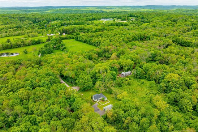 123 Kennerson Reservoir Rd, Ashford, CT 06278 - drone / aerial view of a forest and a large body of water