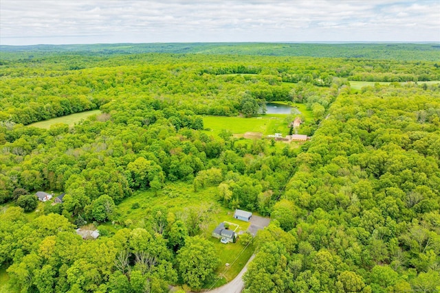 123 Kennerson Reservoir Rd, Ashford, CT 06278 - aerial view of a forest and a nearby body of water