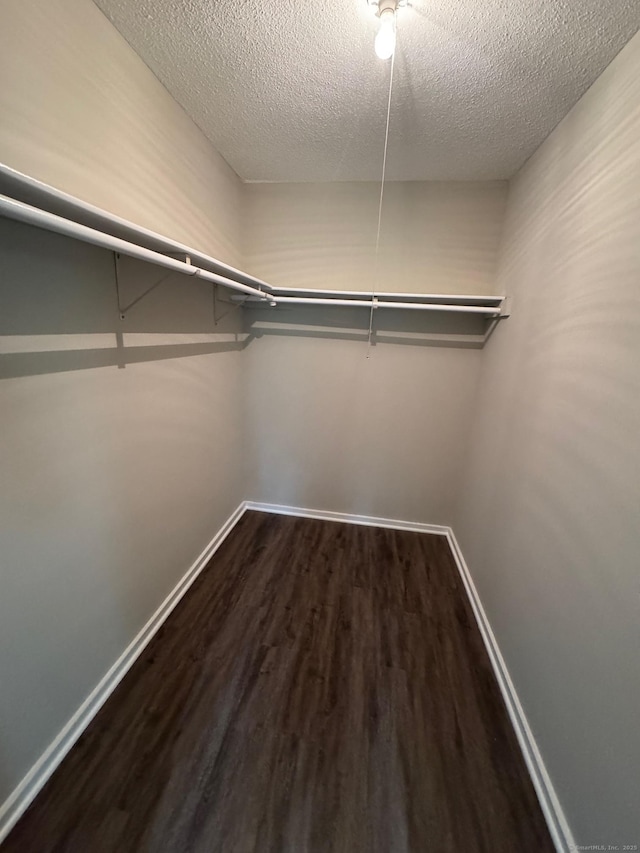 222 W Main St Apt 1C, Southington, CT 06479 - walk in closet featuring dark wood-style floors