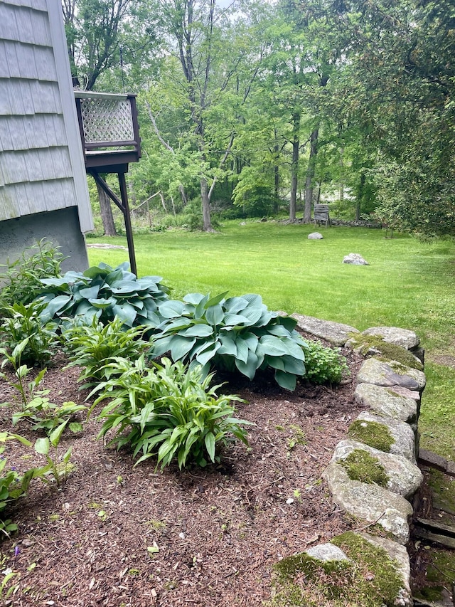 23 Dana Rd, Danbury, CT 06811 - view of grassy yard