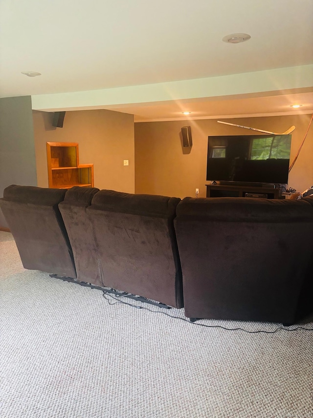 23 Dana Rd, Danbury, CT 06811 - living room with carpet