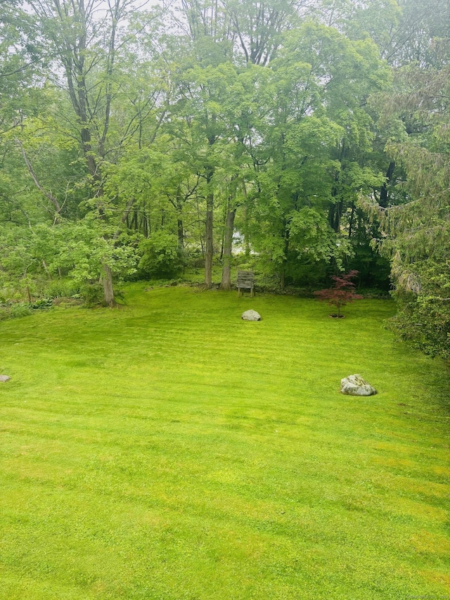 23 Dana Rd, Danbury, CT 06811 - view of green lawn
