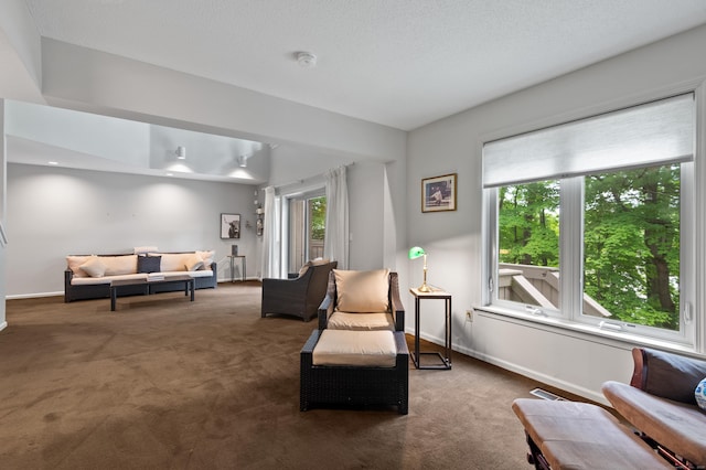 living area featuring carpet and baseboards