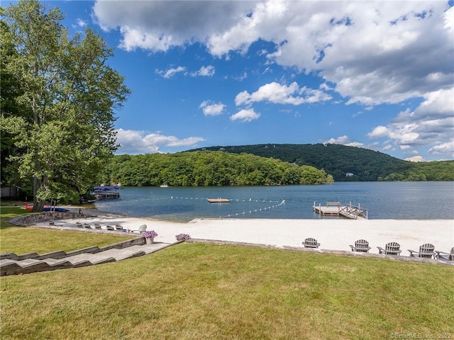 8 Heritage Island Rd, New Fairfield, CT 06812 - water view with a forest and a boat dock