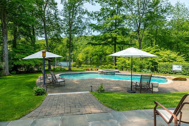 8 Heritage Island Rd, New Fairfield, CT 06812 - view of swimming pool featuring a patio and a pool with connected hot tub