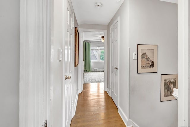 239 Bellevue Ave, West Haven, CT 06516 - corridor with light wood-style floors and baseboards