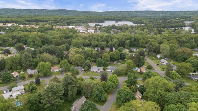 10 Knollwood Rd, Farmington, CT 06032 - aerial view of property's location with a heavily wooded area and a large body of water