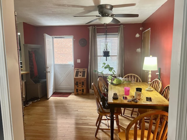 433 Garden St, Hartford, CT 06112 - dining area featuring light wood finished floors and a ceiling fan