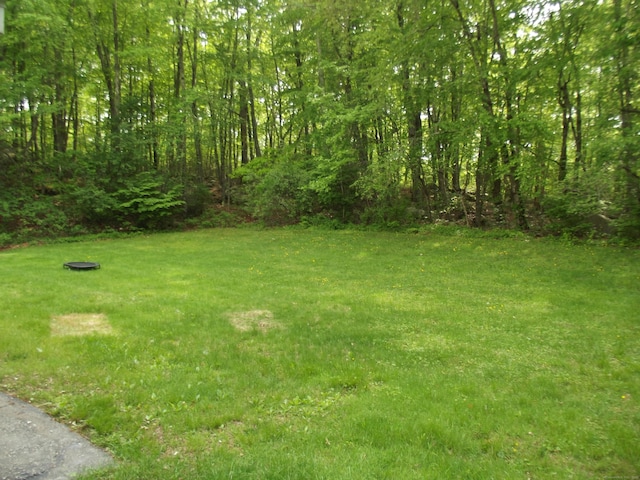 1211 Gold Star Hwy Unit 1211, Groton, CT 06340 - view of green lawn