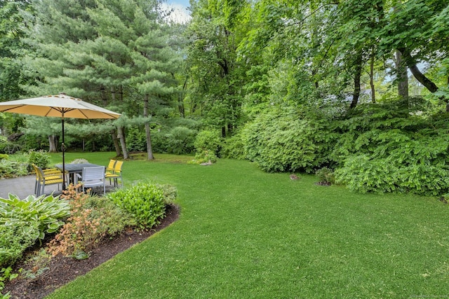 44 Village Ct Unit 44, Wilton, CT 06897 - view of grassy yard with a patio area