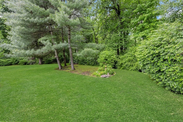 44 Village Ct Unit 44, Wilton, CT 06897 - view of grassy yard
