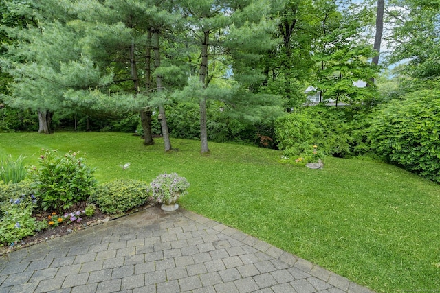 44 Village Ct Unit 44, Wilton, CT 06897 - view of green lawn