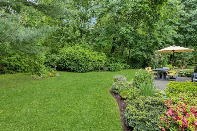 44 Village Ct Unit 44, Wilton, CT 06897 - view of green lawn featuring a patio area