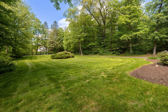 9 Meadowbrook Rd, New Fairfield, CT 06812 - view of grassy yard