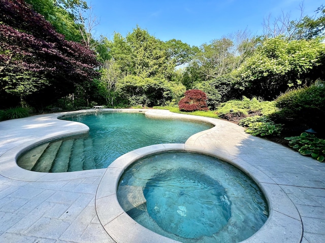 93 Graenest Ridge Rd, Wilton, CT 06897 - view of swimming pool with a pool with connected hot tub
