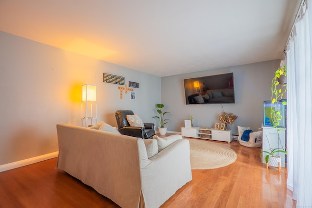 95 Park Ave Apt 14, Danbury, CT 06810 - living room with wood finished floors and baseboards
