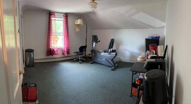 59 Rowan St, Danbury, CT 06810 - workout area featuring a baseboard radiator, lofted ceiling, carpet, and a textured ceiling