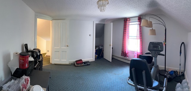 59 Rowan St, Danbury, CT 06810 - office space featuring a baseboard radiator, a textured ceiling, carpet, vaulted ceiling, and baseboards
